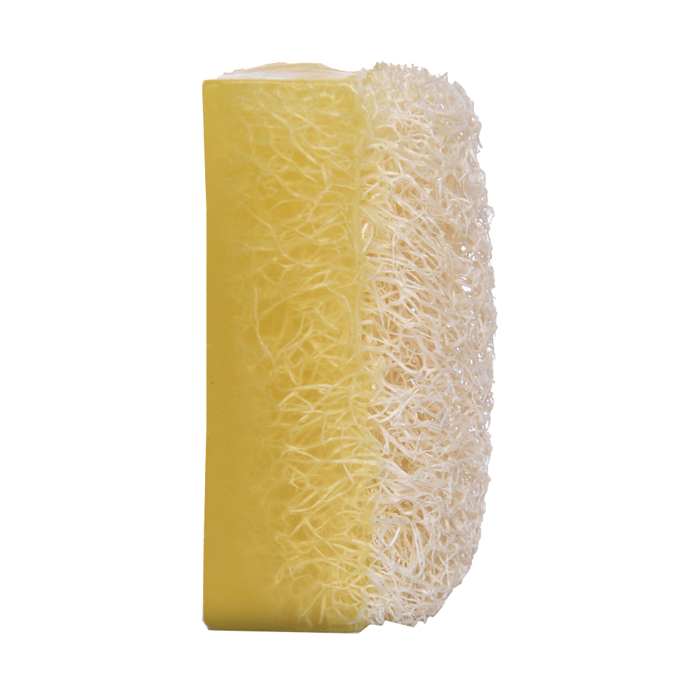 Sapun Eksfoliues për trupin me sfungjer Luffa të integruar (100 g)