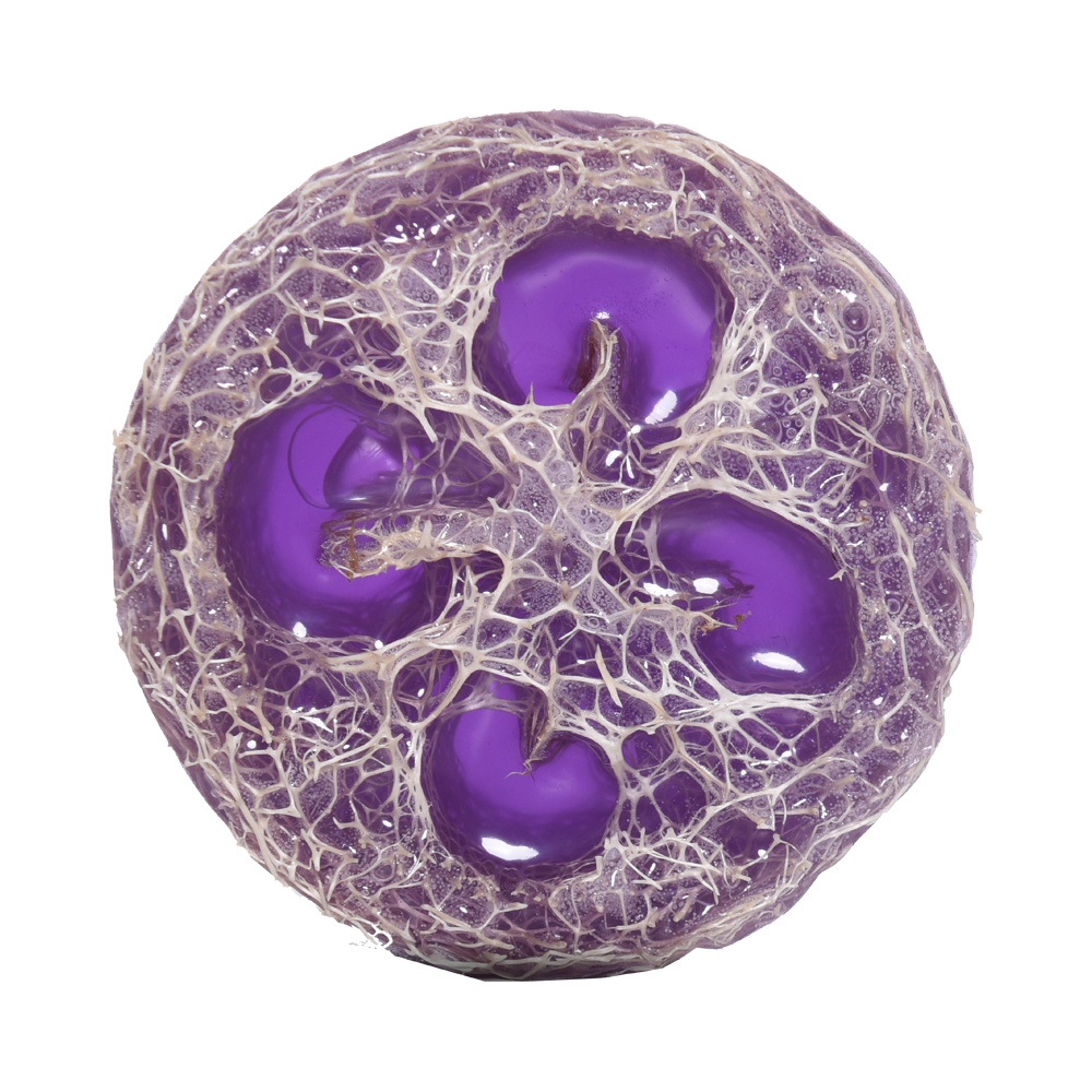 Sapun për këmbët me sfungjer Luffa dhe Livando (100 g)