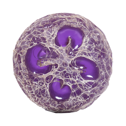 Seti i Përkujdesjes së Këmbëve